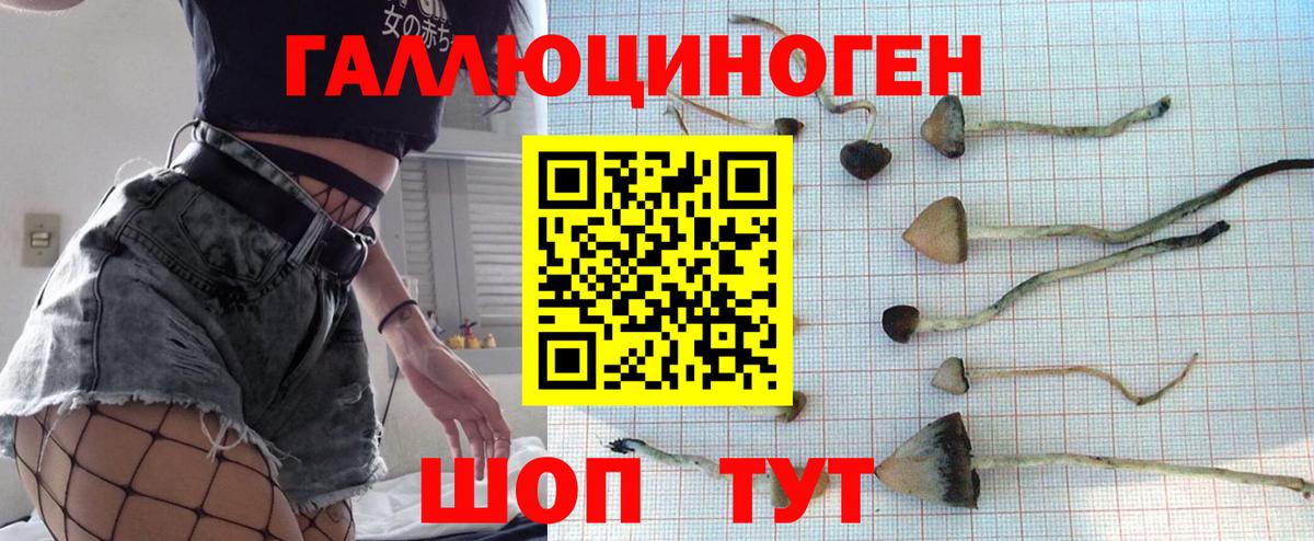 Псилоцибиновые грибы Psilocybe  Вход с VPN  Балаково 
